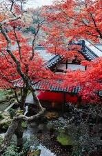 2019足球世青赛比分-2019足球世青赛，比分背后的青春风暴与未来之星