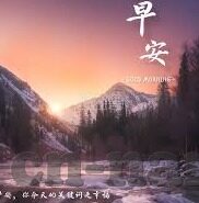 查看各类足球实时比分-掌握赛场脉搏，全面解析如何查看各类足球实时比分