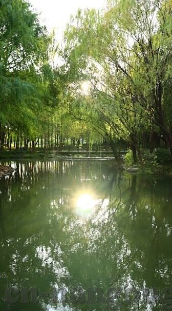 天天足球比分-深度剖析，天天足球比分——球迷的实时信息宝库与观赛指南针