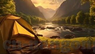 章鱼足球比分-章鱼足球比分，神秘海洋生物与足球盛宴的奇妙交织