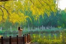 足球比分 2017-2017足球比分记忆，绿茵场上的激情与荣耀