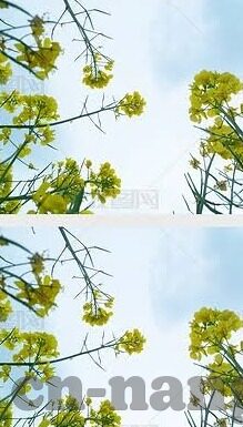 足球比分足球预测-足球比分背后的预测密码，从数据到直觉的终极指南