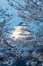 足球及时比分直播网-足球及时比分直播网，球迷的实时信息港湾与激情共享平台